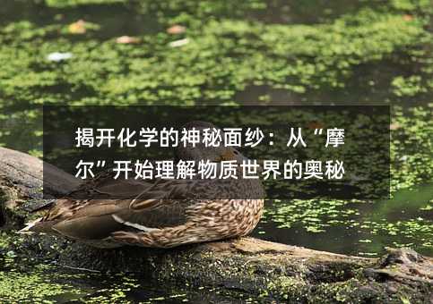 �ҿ���ѧ��������ɴ���ӡ�Ħ������ʼ������������İ���