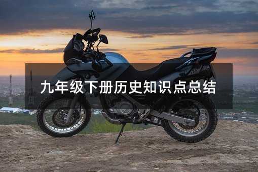 九年级下册历史知识点总结