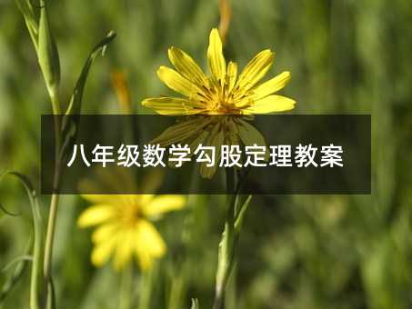 八年级数学勾股定理教案