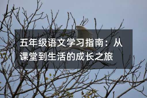 五年级语文学习指南:从课堂到生活的成长之旅