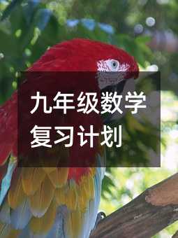 九年级数学复习计划