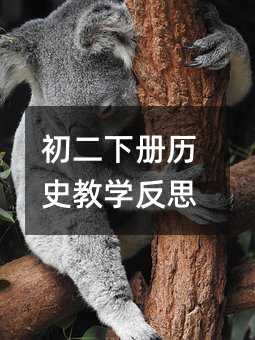 初二下册历史教学反思