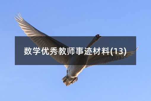 数学优秀教师事迹材料(13)