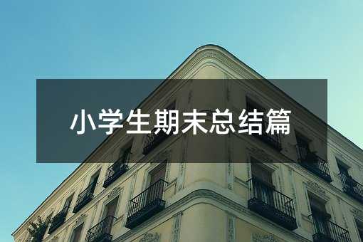 小学生期末总结篇
