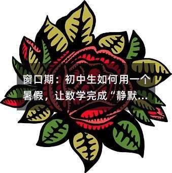窗口期:初中生如何用一个暑假,让数学完成“静默升级”
