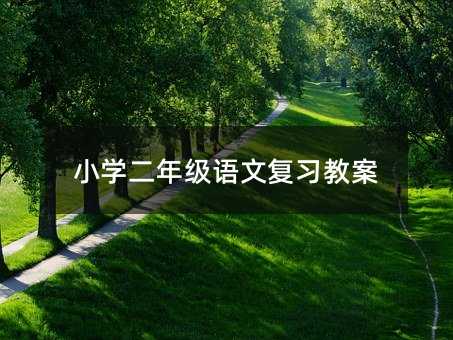 小学二年级语文复习教案