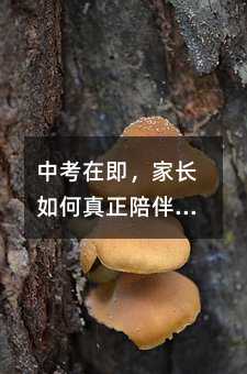 中考在即,家长如何真正陪伴孩子?一份来自班主任的暖心指南