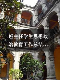 班主任学生思想政治教育工作总结(20)
