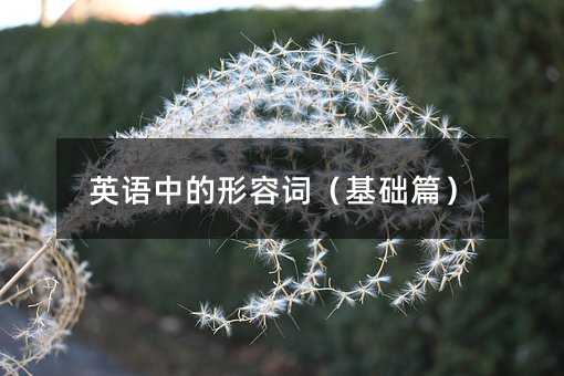 Ӣ���е����ݴʣ�����ƪ��