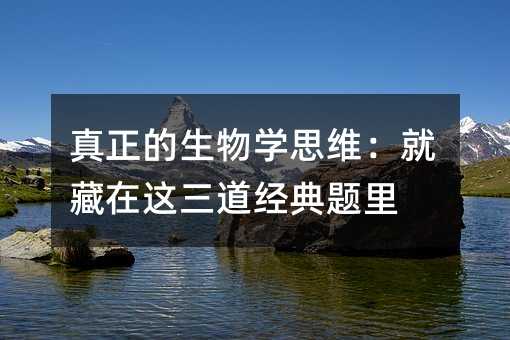 ����������ѧ˼ά���Ͳ�����������������