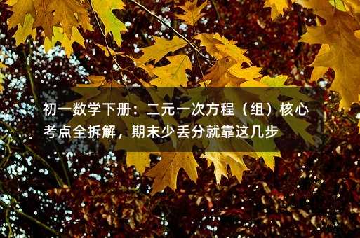 初一数学下册:二元一次方程(组)核心考点全拆解,期末少丢分就靠这几步