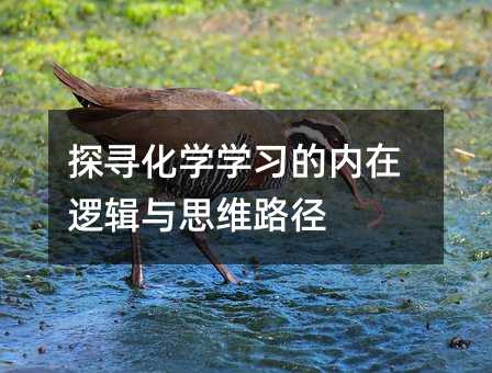 探寻化学学习的内在逻辑与思维路径