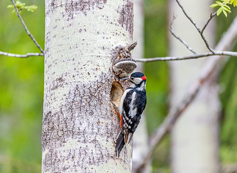 ��ѧ���꣬��5��������������֪����