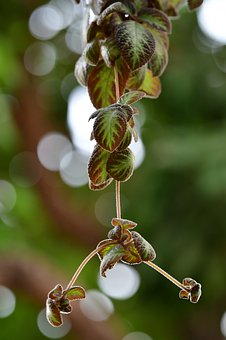 ����������ʽ�͵�λ