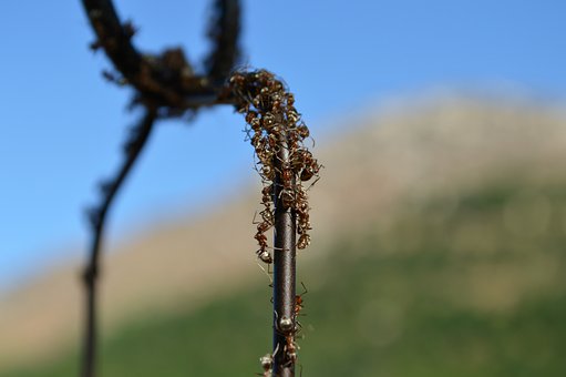 ����߹����� ����ΰﺢ��ѡ�Թ��ʸ���