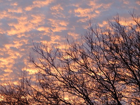 �߶��꼶�²�����֪ʶ��