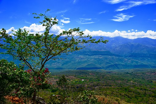 �п�������ϸ�ڻ��ܡ��ӷ֡�