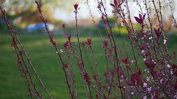 Ӣ���Ķ�����ø߷֣� ��ʵӦ���Ȱ���Ŀ����