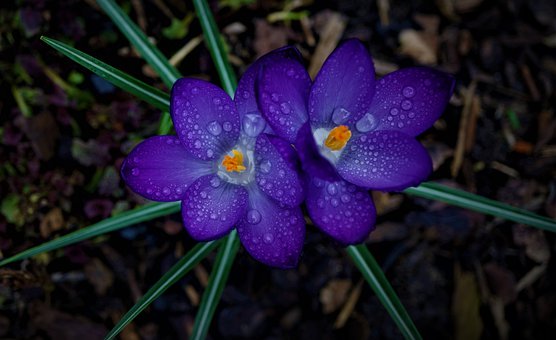 初中语文的学习方法(14)