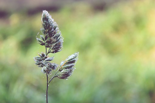 ��ѧ��ѧϰʵ¼������ѧ�߼�������������