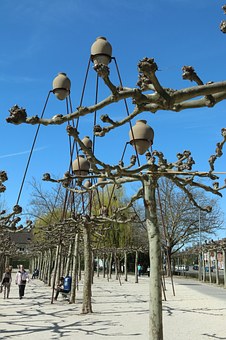 巧用英语短篇故事提升阅读能力:K12学生与家长的实用指南